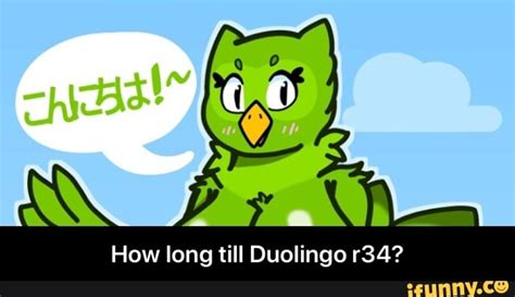 duolingo r34|Parody: duolingo